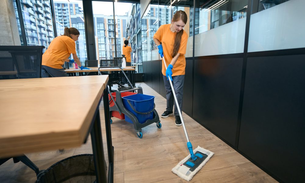 omilos attikis-photo-katharismoi-apolimanseis(25)