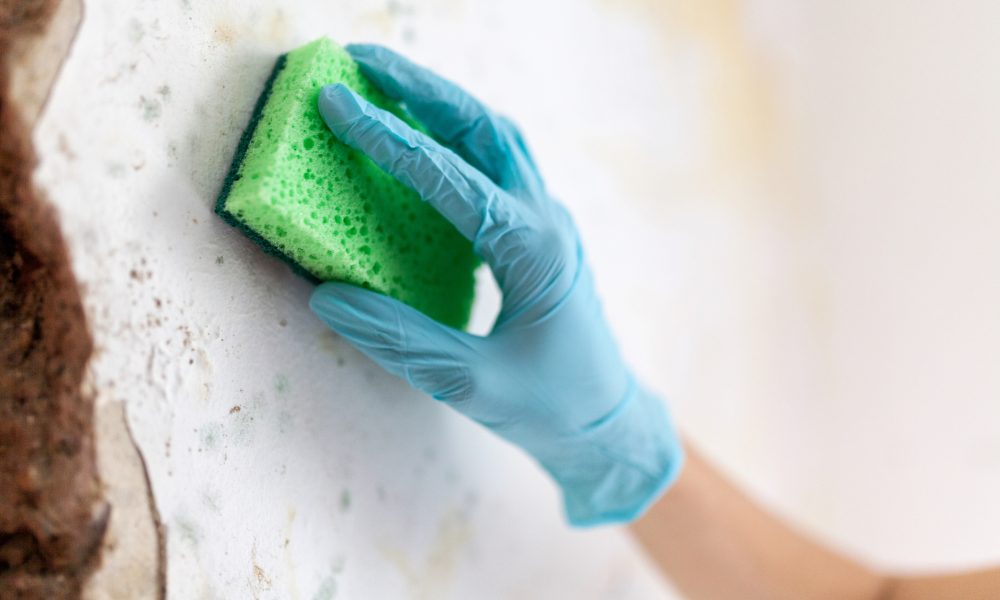 omilos attikis-photo-katharismoi-apolimanseis(35)(10)