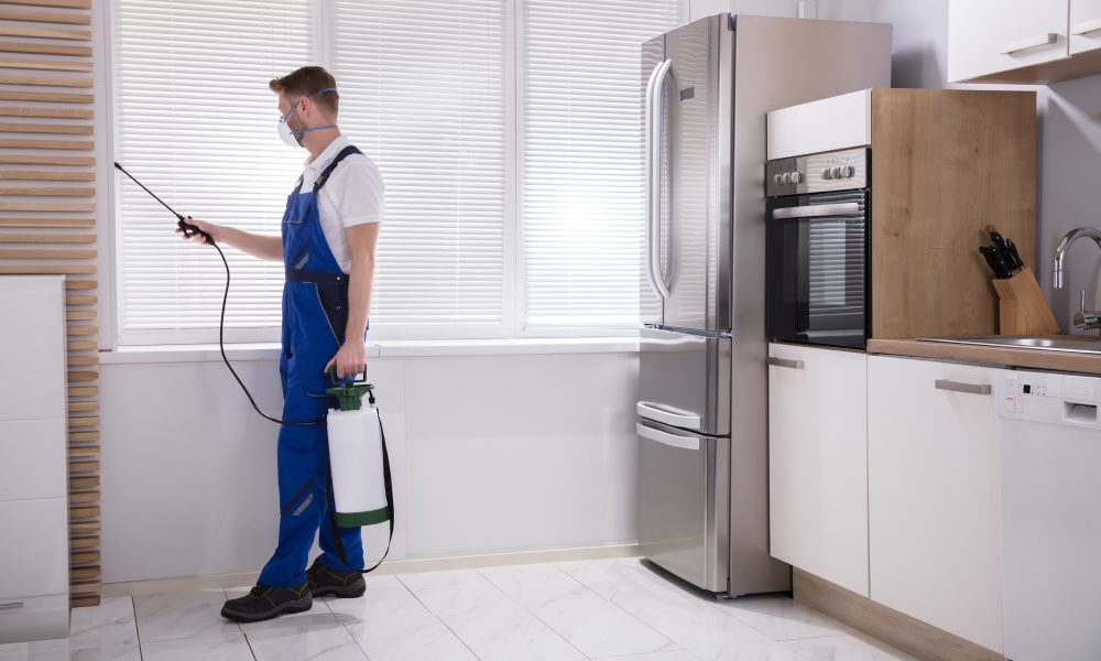 omilos attikis-photo-katharismoi-apolimanseis(6)